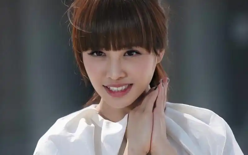 中国歌手蔡依林