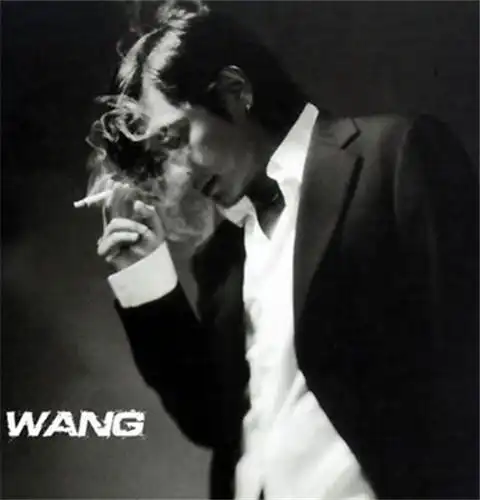 【图】王杰专辑销量节节攀升 首登南宁举办个唱3d大老虎助阵