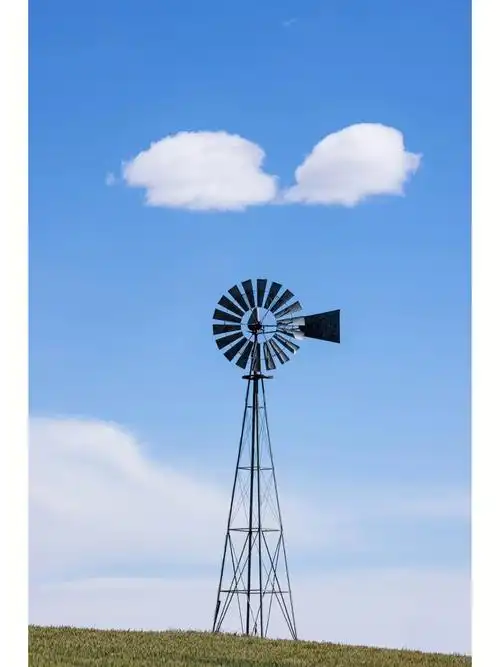 风车集#西雅图 #风光摄影  #canon  #树洞