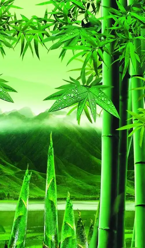 意境壁纸:让烦躁的心静下来