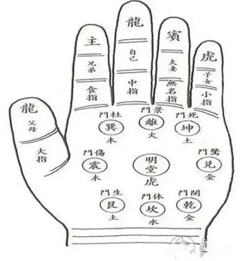 九宫八卦古人一般习惯上将掌部分成九宫八卦,这与西方手相学以七大