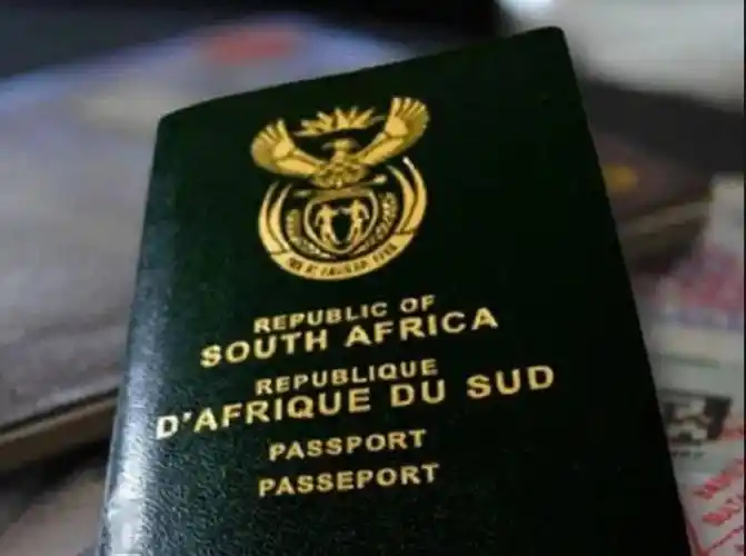 外籍人士拿到的"官方版"假护照,假证件,原来这么便宜_南非内政部_外国