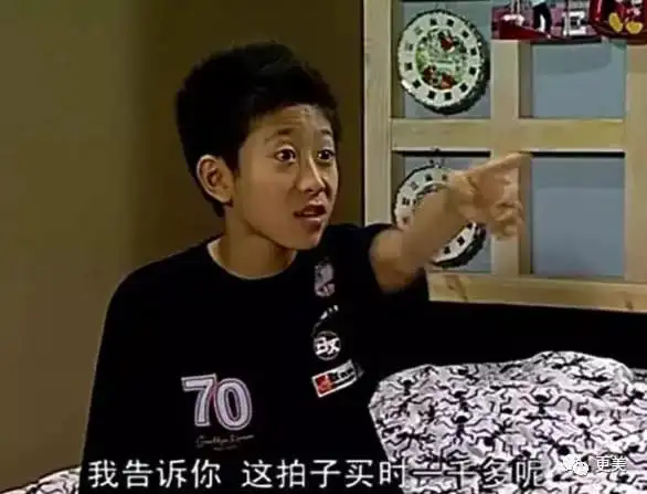 200平豪宅,遍地奢侈品,4万钻戒……《家有儿女》原来这么壕