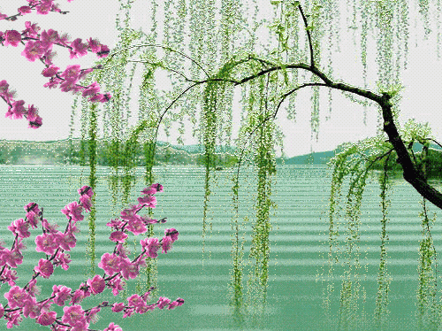 春天相册鸟语花香美到心醉愿你一生四季如春打开看看