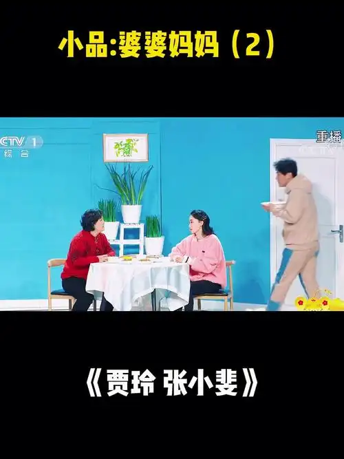 春节联欢晚会贾玲张小斐小品婆婆妈妈2