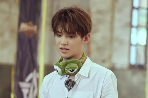 黄明昊壁纸_黄明昊壁纸三格