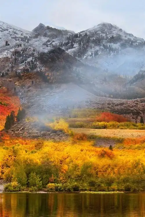 壁纸 湖,山,森林,秋天,雾 1920x1440 hd 高清壁纸, 图片, 照片