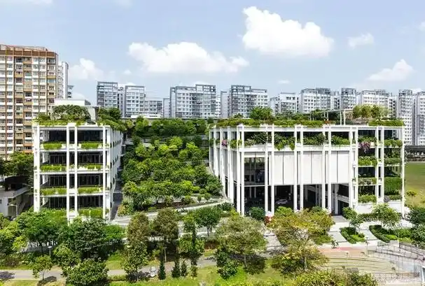 邻里中心是做什么的