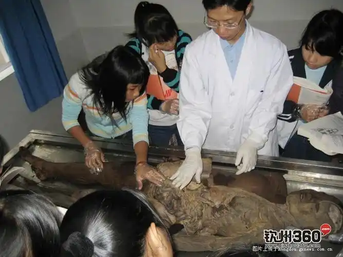 走进人体解剖室胆小不要进来哦