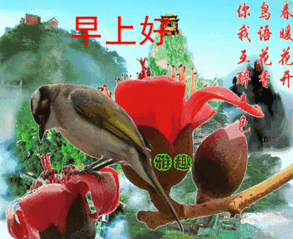 早上好的问候语图片带字动态
