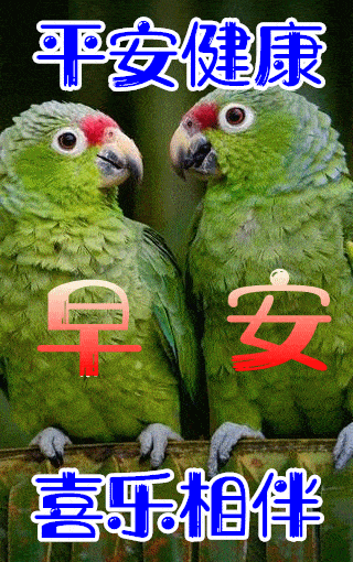 10月18日最漂亮早上好动态表情图片大全早晨好动图美图大全