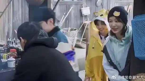 杨紫当苦工做擂茶,张艺兴光指挥! 黄磊:活该单身!|杨紫|黄磊_新浪新闻