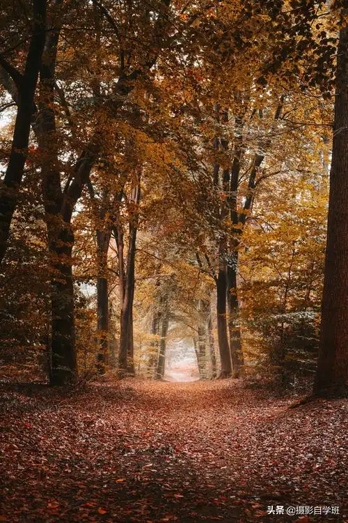 这8个风光摄影技巧,简单实用,帮你风景照片更美丽