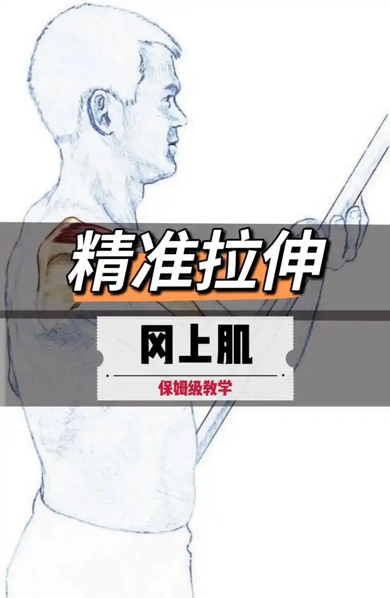 精准拉伸冈上肌.