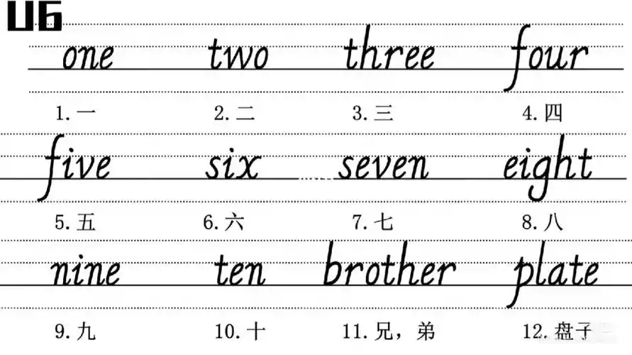 英语单词手写体格式.#英语单词  pep三年级上册#学英语  #英语启蒙