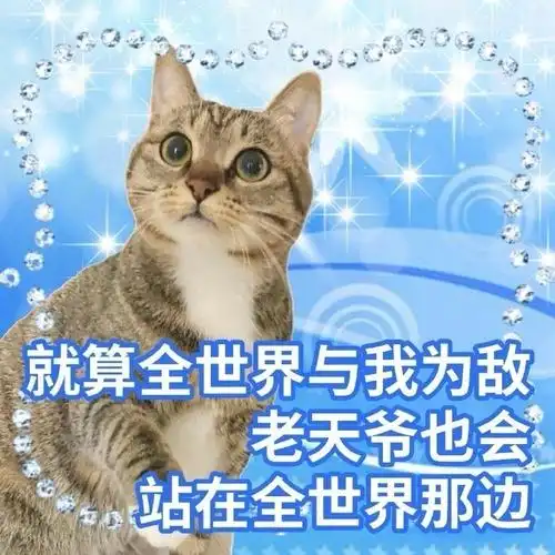 好的东西想让更多人用上#好用的猫猫表情应该让全世界知道!