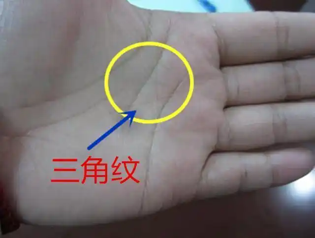 此种手相特征,迟早能成大器,必定是人中龙凤,注定富甲一方