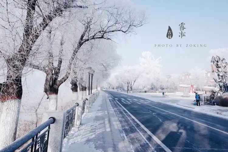 摄影大美吉林松花江畔雾凇景观