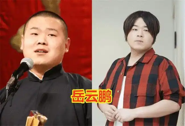 都怪假发太逼真|岳云鹏|发型