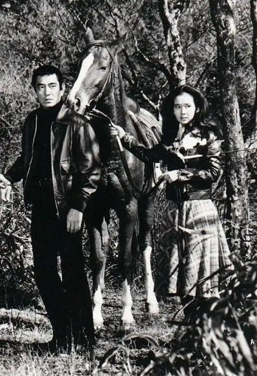 老电影《追捕》:硬汉高仓健,美女真由美