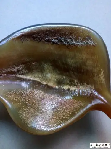 犀牛角鱼子纹高清放大图赏析