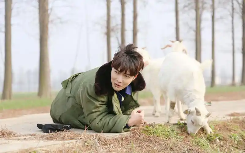 【极限挑战】【张艺兴】和羊讨论balance 放羊 不懂方言