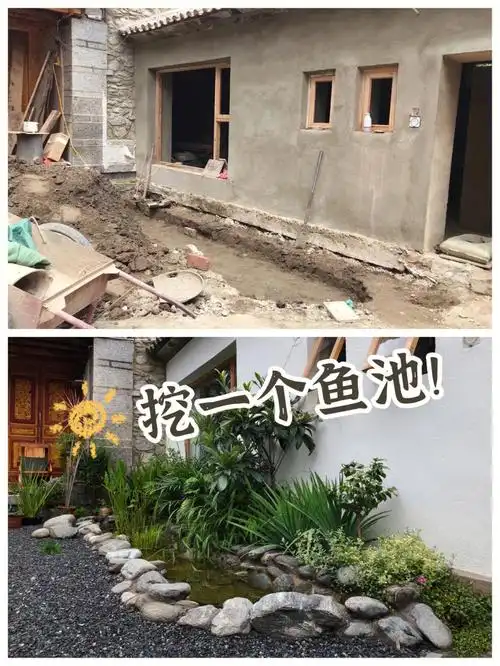 挖鱼池的干货分享0378