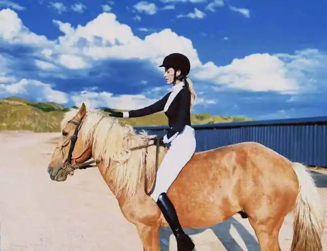 张天爱生日晒骑马照##张天爱生日微博评论