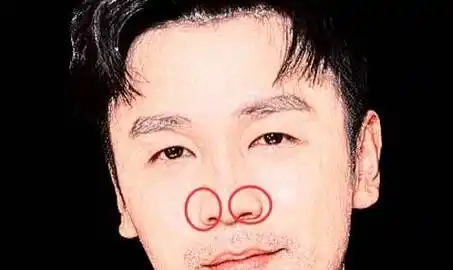 鼻子塌的男人_男人鼻子塌鼻翼大面相_鼻子塌鼻翼大的男人面相