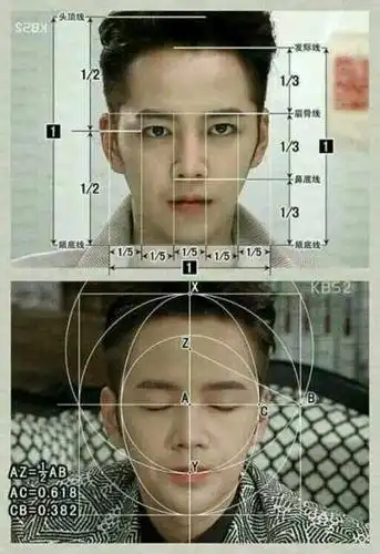 张根硕脸是黄金比例吗