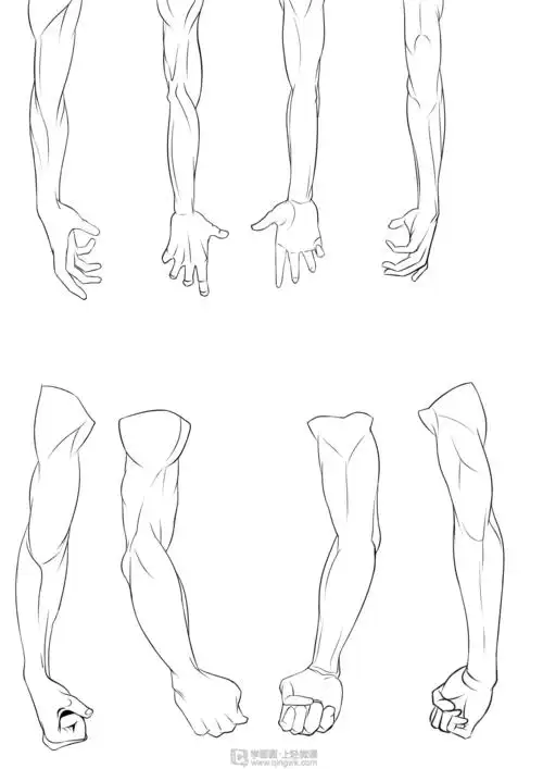 作业:如何学动漫插画之手臂的画法与训练技巧 - rh-12-227 小辣椒