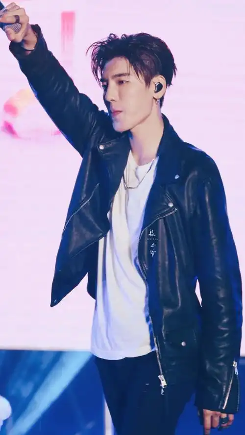 王子异犀牛音乐节