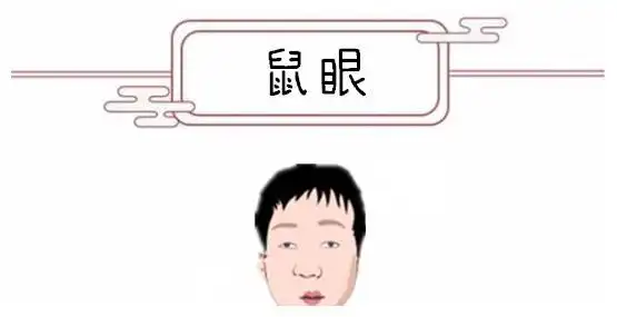 鼠眼我们看一个人不坏好意,总是说他们"贼眉鼠眼",这里所说的鼠眼,就