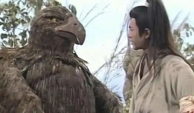 可在遇到杨过之前大雕一直都是独自生活,陪伴杨过之后身边更是没有