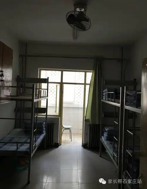 关注石家庄民办初中精英中学校园大揭秘