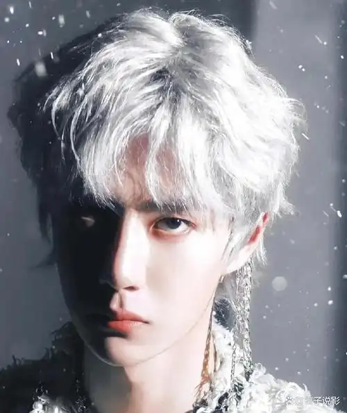 男明星现代银发图鉴王一博贵气华晨宇摇滚鹿晗心动你最喜欢谁
