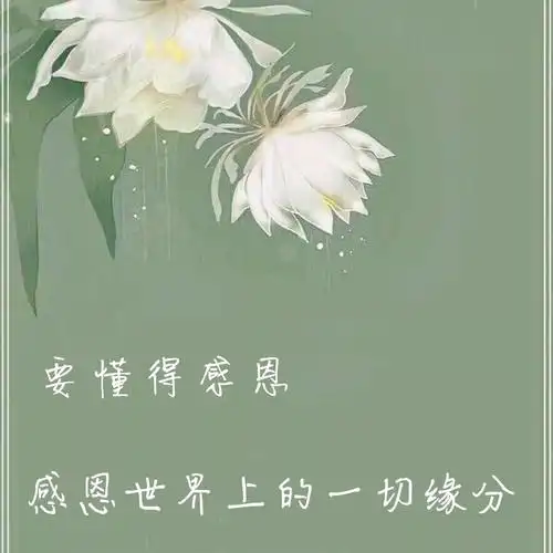 25句致自己心静看淡一切的句子,句句看透人生!-牛句网