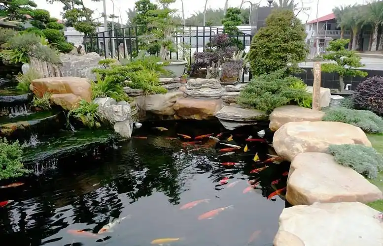 别墅庭院,花园里挖多大的鱼池合适_鱼塘_设计_风水