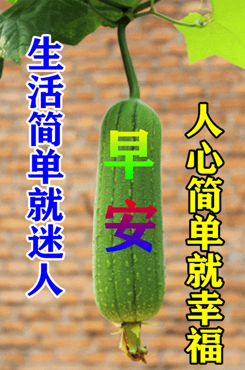 6月24日最漂亮早上好动态表情图片大全早晨好动图美图大全