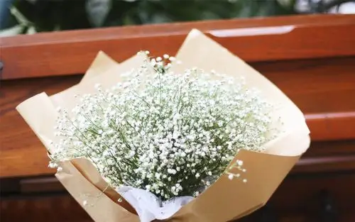 漂亮的满天星高清桌面壁纸