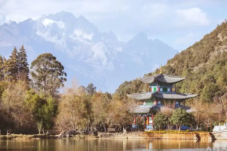 【丽江景点图片】黑龙潭公园