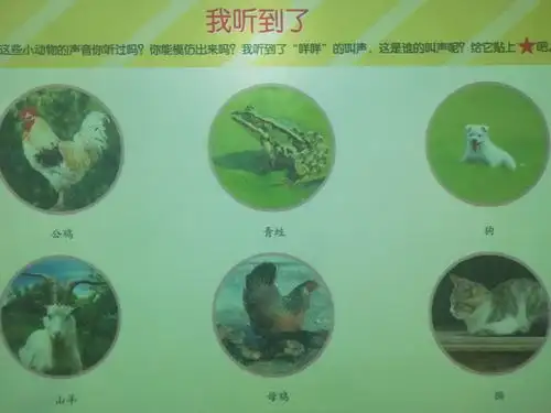 主题活动《动物乐园》精彩回放 - 美篇