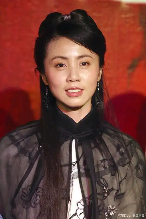 孙莉——温柔内敛,小家碧玉型的贤内助