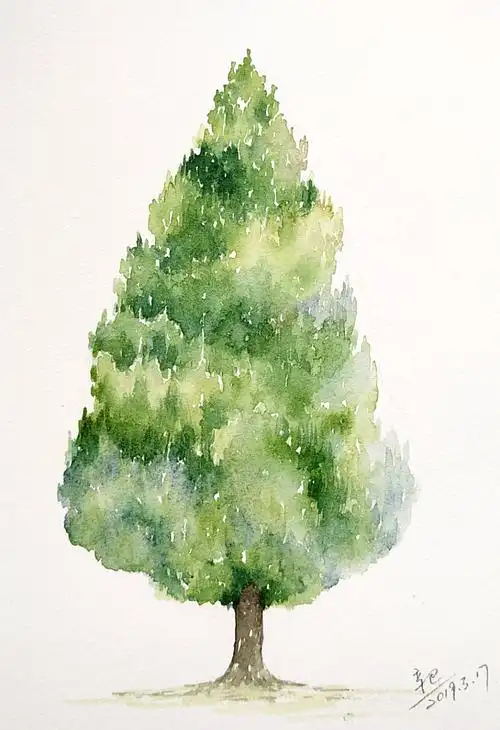 最近的手绘水彩大树