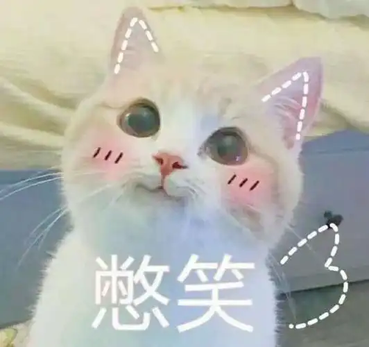 憋笑(小猫)_小猫表情