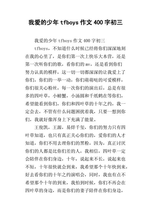 我爱的少年tfboys作文400字初三docx4页