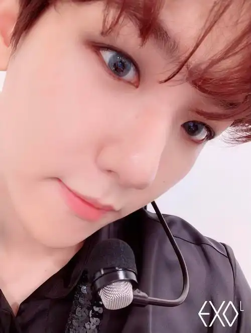 边伯贤图楼百宝箱自拍指南78有更新