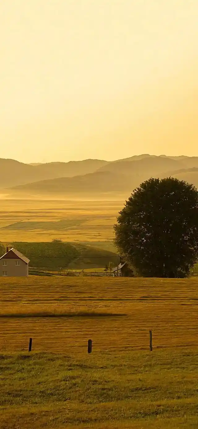 乡村田园风光全面屏手机壁纸