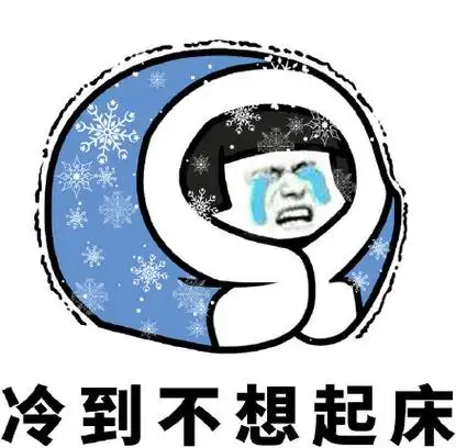 文字表情包 搞笑 逗 魔性 天气太冷了 冷到不想起床