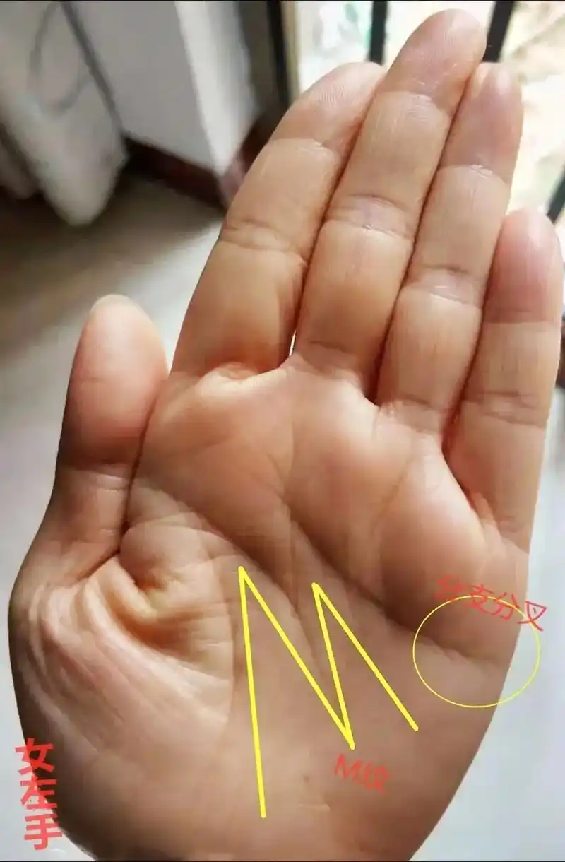 四种"冲天纹"手相解析不论男女事业感双丰